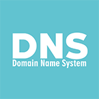 DNS logo